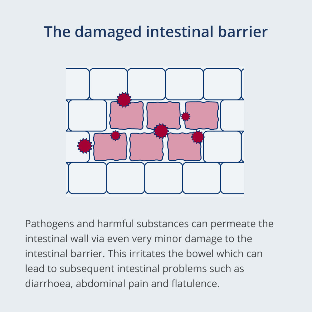 Cartoon-like style of damaged intestinal barrier
